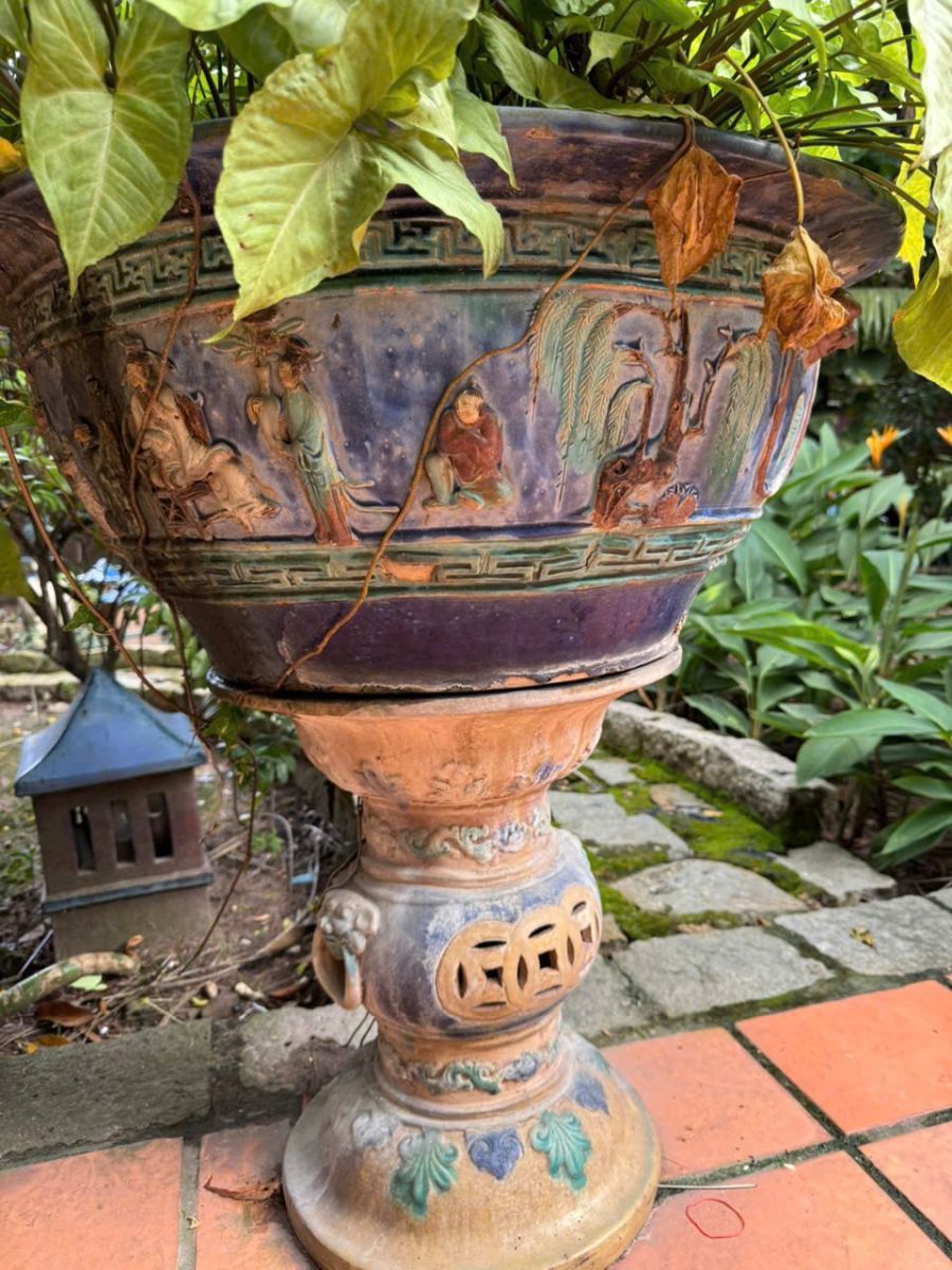 Quan sát màu men và độ bóng