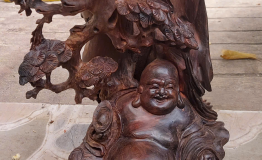 DI LẶC GỐC TÙNG